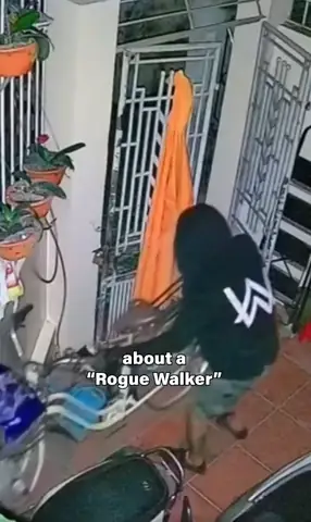 Alan Walker Trả Xe Đạp Ở Hà Nội: Sự Thật Đằng Sau Hành Động Ý Nghĩa