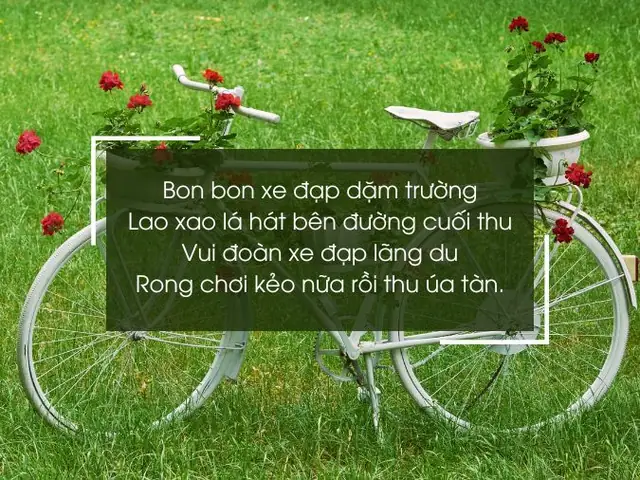 Tuyển Tập Bài Thơ Hay Về Chiếc Xe Đạp: Cho Bé Đến Người Lớn