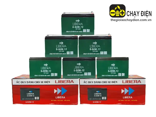 Bán Bình Ắc Quy Xe Đạp Điện: Giá Bao Nhiêu, Chọn Loại Nào Tốt & Địa Chỉ Uy Tín