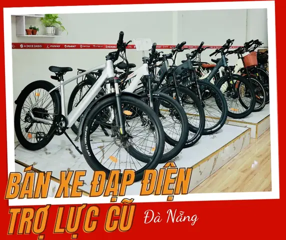 Mua Bán Vành Xe Đạp Cũ: Hướng Dẫn Chọn Mua Và Địa Chỉ Uy Tín