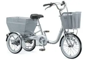 Xe Đạp Điện 3 Bánh: Giá, Loại Phổ Biến & Lưu Ý Khi Mua