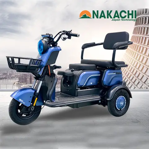 Xe Đạp Điện 3 Bánh: Giá, Loại Phổ Biến & Lưu Ý Khi Mua