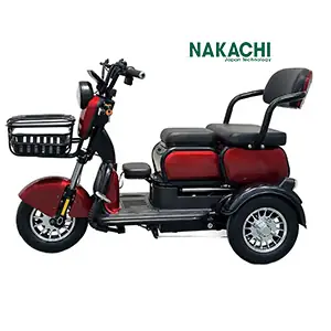 Xe Đạp Điện 3 Bánh: Giá, Loại Phổ Biến & Lưu Ý Khi Mua