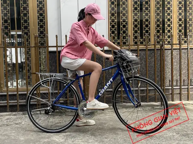Bán Xe Đạp Giant Cũ TPHCM: Giá Tốt, Kinh Nghiệm Chọn Mua & Địa Chỉ Uy Tín
