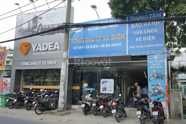 Cửa Hàng Bán Xe Đạp Quận 2: Top Địa Chỉ, Thương Hiệu Và Kinh Nghiệm Chọn Mua