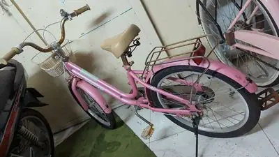 Mua Bán Xe Đạp Trẻ Em Cũ: Hướng Dẫn Chi Tiết Chọn Xe Tốt Giá Hời
