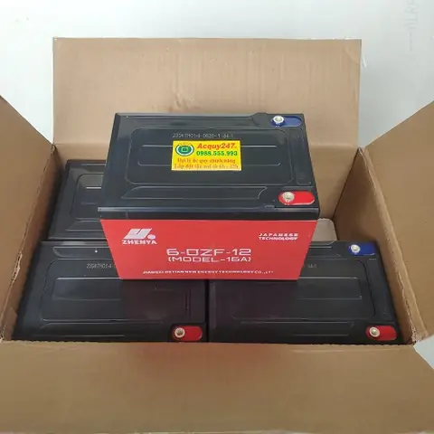 Bình Ắc Quy Xe Đạp Điện 48v: Loại Nào Tốt, Giá Bao Nhiêu & Hướng Dẫn Chọn Mua