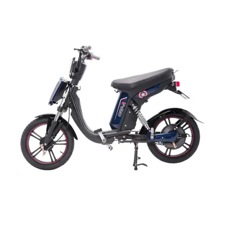 Giá Bình Ắc Quy Xe Đạp Điện Hkbike: Bao Nhiêu Tiền & Lưu Ý Quan Trọng