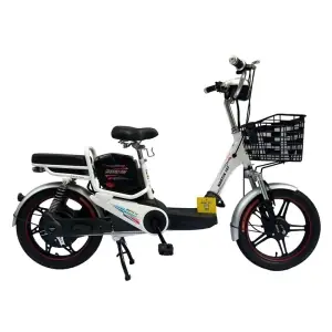 Bình Ắc Quy Xe Đạp Điện Martin: Hướng Dẫn Chọn Mua, Thay Thế Và Bảo Dưỡng