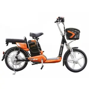 Bình Ắc Quy Xe Đạp Điện Martin: Hướng Dẫn Chọn Mua, Thay Thế Và Bảo Dưỡng