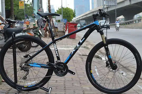 Các Hãng Xe Đạp Phổ Biến Tại Việt Nam: Lựa Chọn Nào Tốt Nhất?