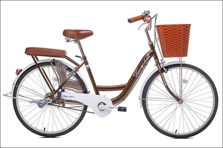 Các Loại Xe Đạp Cho Học Sinh: Hướng Dẫn Chọn Xe Phù Hợp Theo Cấp Học & Nhu Cầu
