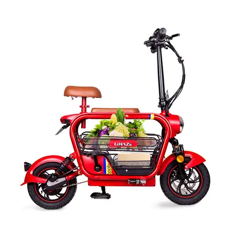 Các Loại Xe Đạp Điện Mini: Mẫu Mã, Ưu Điểm Và Lưu Ý Chọn Mua