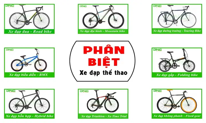 Phân Biệt Các Loại Xe Đạp Thể Thao Phổ Biến: Hướng Dẫn Chi Tiết Từ A-Z