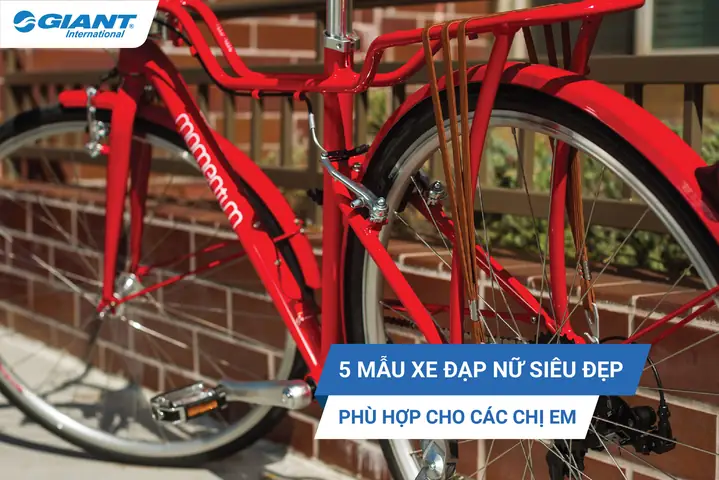 Top 10+ Mẫu Xe Đạp Đẹp Cho Nữ: Chọn Kiểu Dáng, Tính Năng, Giá Tốt 2025
