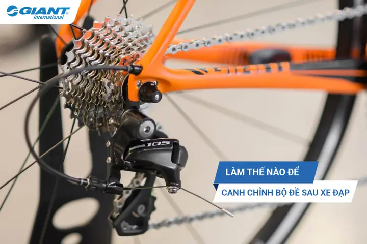Hướng Dẫn Chi Tiết Cách Chỉnh Đề Sau Xe Đạp Shimano Đúng Kỹ Thuật