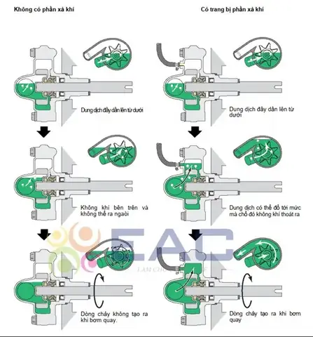 Hướng Dẫn Chi Tiết Cách Làm Súng Hơi Từ Bơm Xe Đạp Và Ống Nhựa Pvc