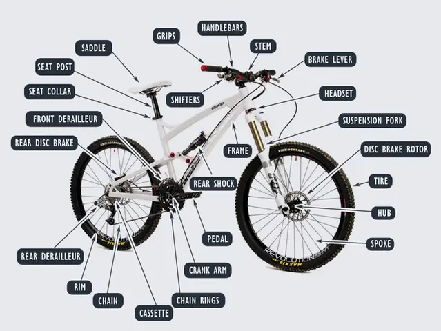 Cách Sang Số Xe Đạp Đúng Cách: Hướng Dẫn Chi Tiết Cho Người Mới Bắt Đầu
