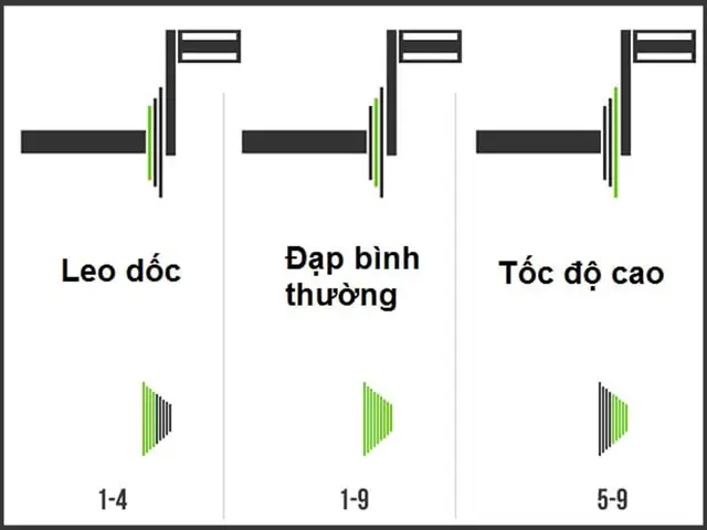 Cấu Tạo Bộ Đề Xe Đạp: Từ A-Z Chi Tiết Về Các Bộ Phận Và Nguyên Lý Hoạt Động