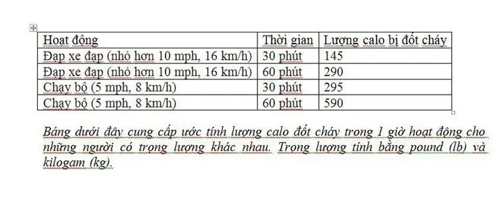Chạy Bộ Hay Đạp Xe Tốt Hơn: So Sánh Lợi Ích, Hiệu Quả Và Rủi Ro Chạy Bộ Hay Đạp Xe Tốt Hơn: So Sánh Lợi Ích, Hiệu Quả Và Rủi Ro
