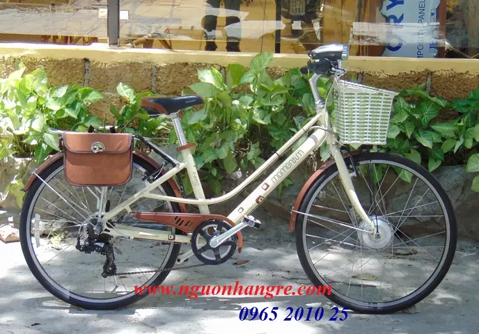Hướng Dẫn Chi Tiết Cách Chế Xe Đạp Thành Xe Đạp Điện Tại Nhà