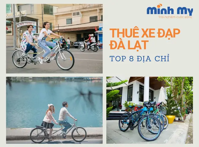 Top Địa Điểm Cho Thuê Xe Đạp Ở Đà Lạt: Giá Rẻ, Xe Đẹp & Kinh Nghiệm Chọn Lọc