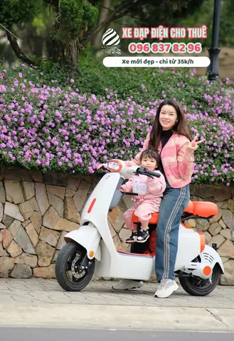Top Địa Điểm Cho Thuê Xe Đạp Ở Đà Lạt: Giá Rẻ, Xe Đẹp & Kinh Nghiệm Chọn Lọc