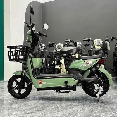 Mua Bán Xe Đạp Điện Cũ: Hướng Dẫn Toàn Diện Từ Chợ Tốt Xe