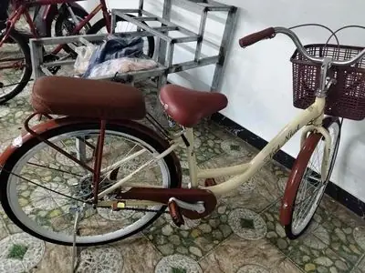 Chợ Tốt Xe Đạp Đà Nẵng: Mua Bán Xe Đạp Cũ Mới Giá Rẻ, Đa Dạng Mẫu Mã