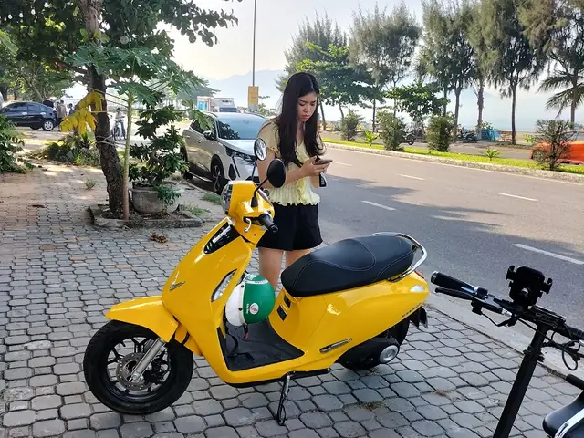 Chợ Tốt Xe Đạp Đà Nẵng: Mua Bán Xe Đạp Cũ Mới Giá Rẻ, Đa Dạng Mẫu Mã