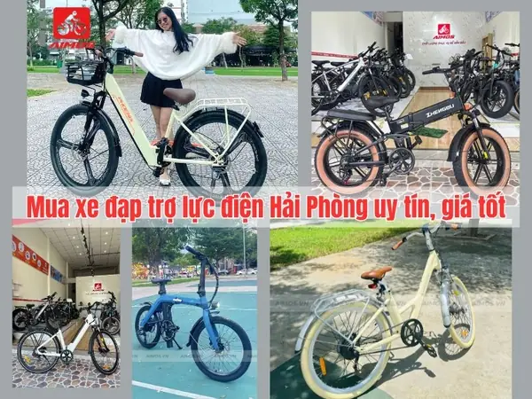 Mua Bán Xe Đạp Điện Cũ Mới Tại Hải Phòng: Giá Tốt, Đa Dạng Mẫu Mã
