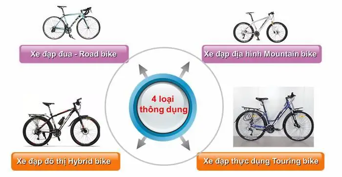 Phân Loại Các Dòng Xe Đạp Phổ Biến: Hướng Dẫn Chi Tiết Từ A-Z Phân Loại Các Dòng Xe Đạp Phổ Biến: Hướng Dẫn Chi Tiết Từ A-Z