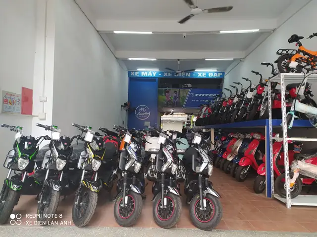 Cửa Hàng Xe Đạp Điện Uy Tín: Chọn Mua Xe Trợ Lực, Giá Tốt, Trả Góp Dễ Dàng