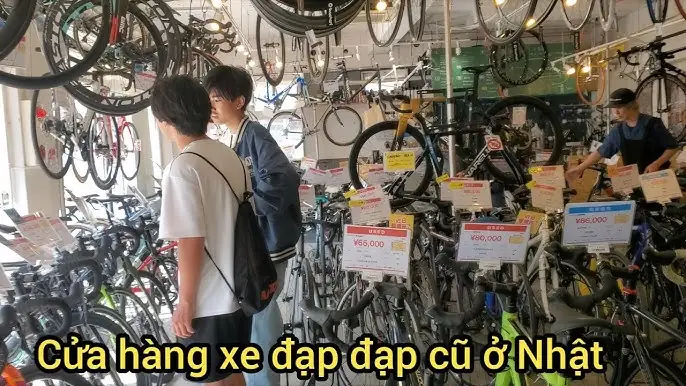 Mua Bán Xe Đạp Cũ Giá Rẻ: Kinh Nghiệm Chọn Mua, Địa Chỉ Uy Tín Tại Hà Nội & TP.HCM
