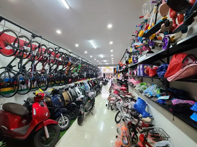 Xe Đạp Điện Giá Tốt, Trả Góp Dễ Dàng & Các Địa Điểm Mua Uy Tín Toàn Quốc