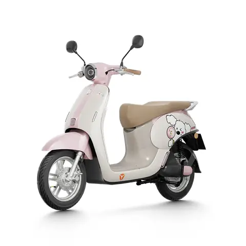 Cửa Hàng Xe Đạp Điện Mai Phương: Địa Chỉ Uy Tín, Mẫu Xe & Tư Vấn Mua Sắm