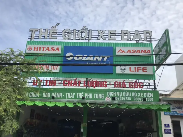 Cửa Hàng Xe Đạp Vũng Tàu: Địa Chỉ Uy Tín, Giá Tốt & Các Loại Xe Phổ Biến