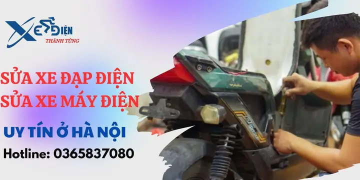 Cửa Hàng Xe Đạp Thanh Tùng Hải Phòng: Chọn Xe Chất Lượng, Giá Tốt Nhất