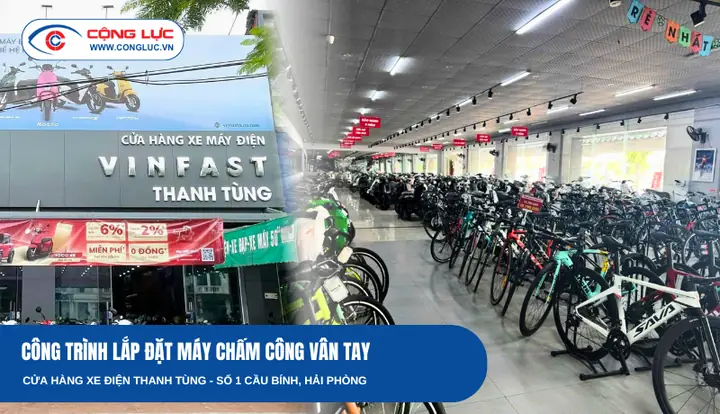 Cửa Hàng Xe Đạp Thanh Tùng Hải Phòng: Chọn Xe Chất Lượng, Giá Tốt Nhất