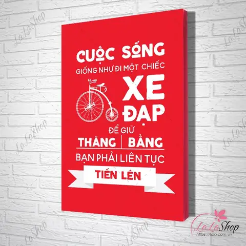 Cuộc Sống Như Chiếc Xe Đạp: Giữ Thăng Bằng Và Tiến Về Phía Trước Như Thế Nào?