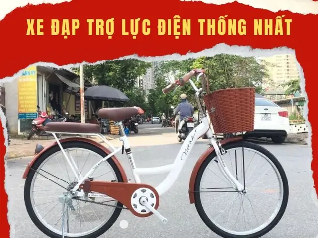 Đánh Giá Xe Đạp Thống Nhất: Có Nên Mua Không Và Các Mẫu Phổ Biến Hiện Nay?