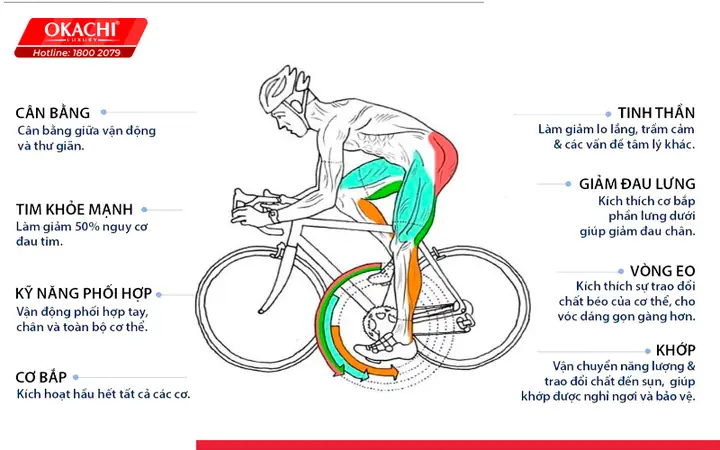 Đạp Xe Có Tác Dụng Gì? 15 Lợi Ích Tuyệt Vời Cho Sức Khỏe Thể Chất Và Tinh Thần