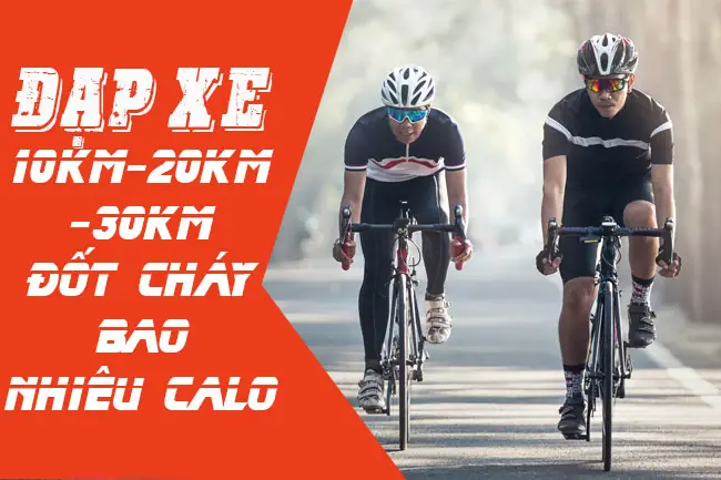 Đạp Xe Đốt Bao Nhiêu Calo? Hướng Dẫn Chi Tiết & Lợi Ích Sức Khỏe