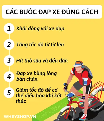 Đạp Xe Nhiều Có Tốt Không? Lợi Ích, Tác Hại Và Mức Độ Phù Hợp Cho Sức Khỏe