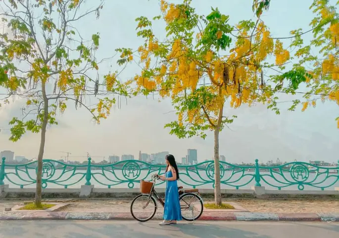 Đạp Xe Hồ Tây: Khám Phá Tuyệt Đỉnh Trải Nghiệm Cùng Lộ Trình, Thuê Xe Và Kinh Nghiệm