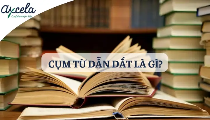 Dắt Xe Đạp Tiếng Anh Là Gì? Walk A Bicycle, Push A Bike Hay Dismount?