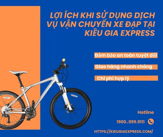 Dịch Vụ Vận Chuyển Xe Đạp Toàn Quốc: Hình Thức, Giá Cước, Cách Đóng Gói & Tiêu Chí Chọn Đơn Vị Uy Tín