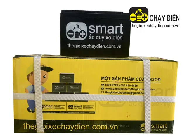 Cập Nhật Giá Bình Ắc Quy Xe Đạp Điện Theo V, Ah Và Loại Bình