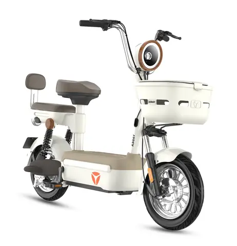 Giá Bình Xe Đạp Điện Cũ: Tư Vấn Mua & Thay Thế Chi Tiết 2024