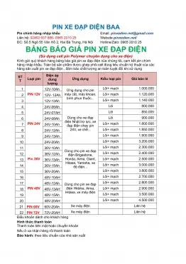 Giá Pin Xe Đạp Điện Bao Nhiêu? Bảng Giá Mới Nhất & Lưu Ý Chọn Mua